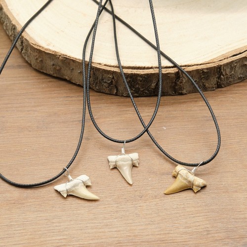 Otodus shark tooth - shark, pendant