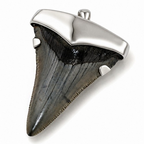 Ciondolo grande dente - , di