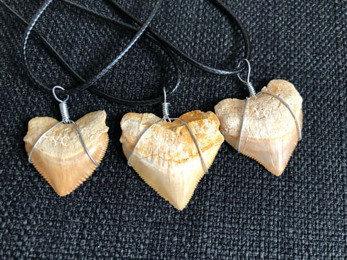 Shark tooth catena ciondolo - tooth, |