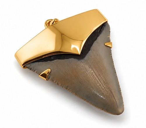 Ciondolo dente squalo - dente, di