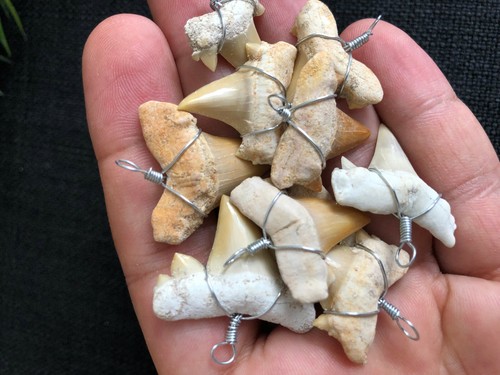 Ciondolo shark tooth - ciondolo, |