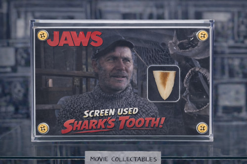Screen used shark tooth - shark, –