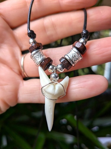 Collana dente squalo - collana,