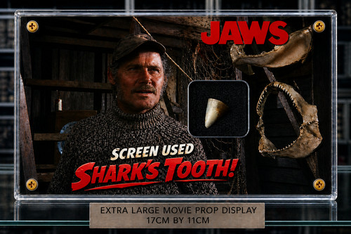 New screen used shark tooth - screen-used,
